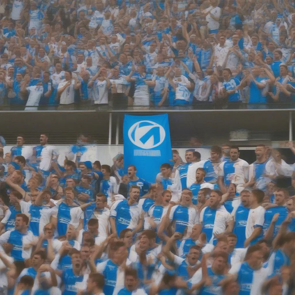 Khởi Nguồn Của Hoffenheim