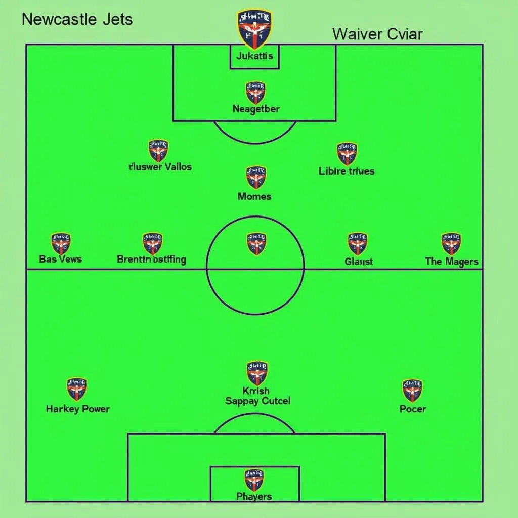 Đội hình và chiến thuật của Newcastle Jets