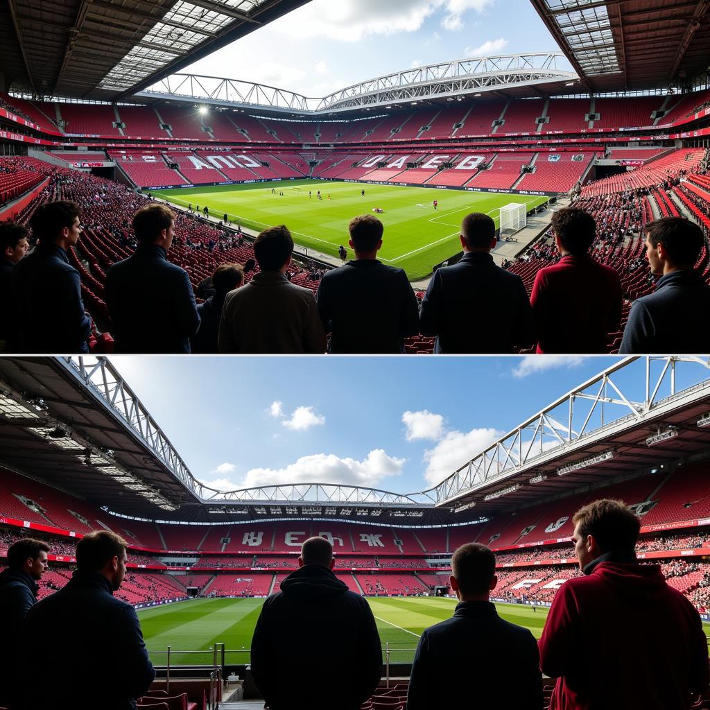 Stadium Tours in Manchester