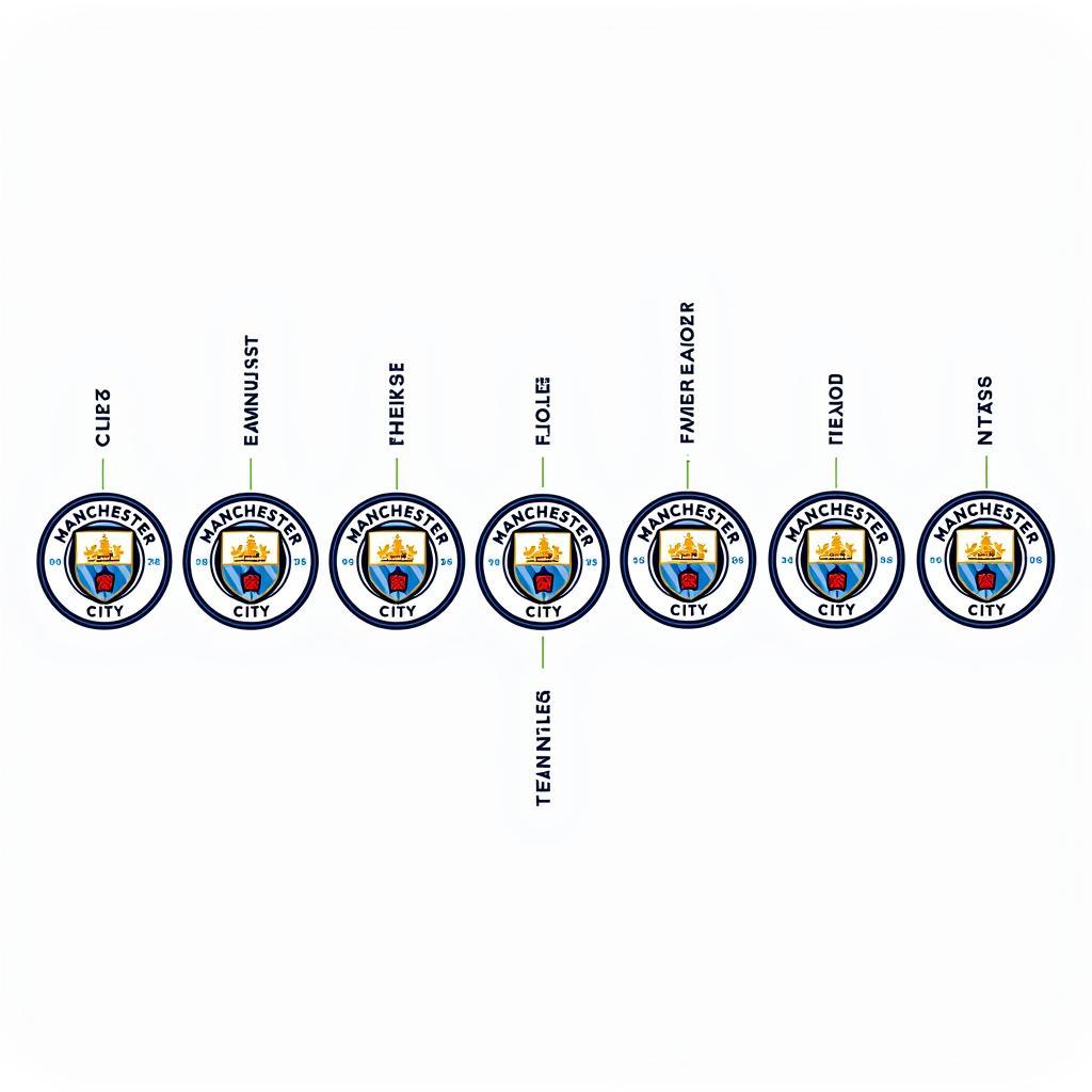 Lịch sử phát triển logo Manchester City qua các thời kỳ