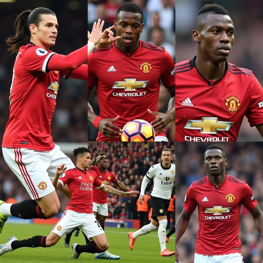 Các Ngôi Sao Manchester United 2017